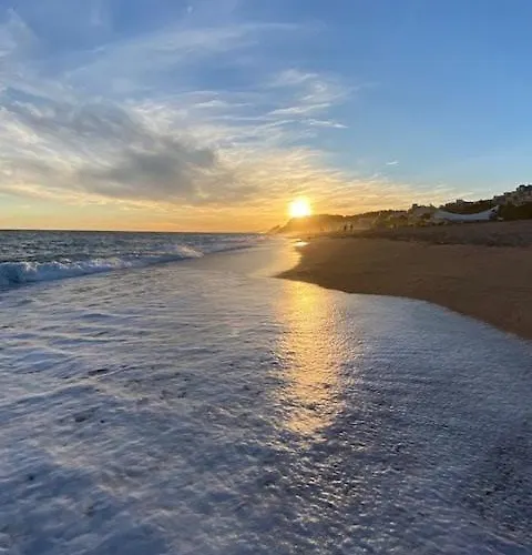 The Hollidays